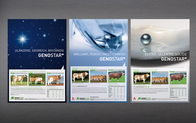 genostar_8